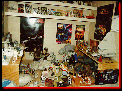 My Collection