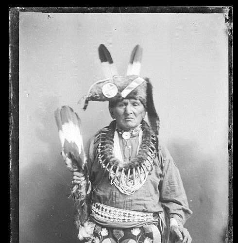 Tail Feather Fans