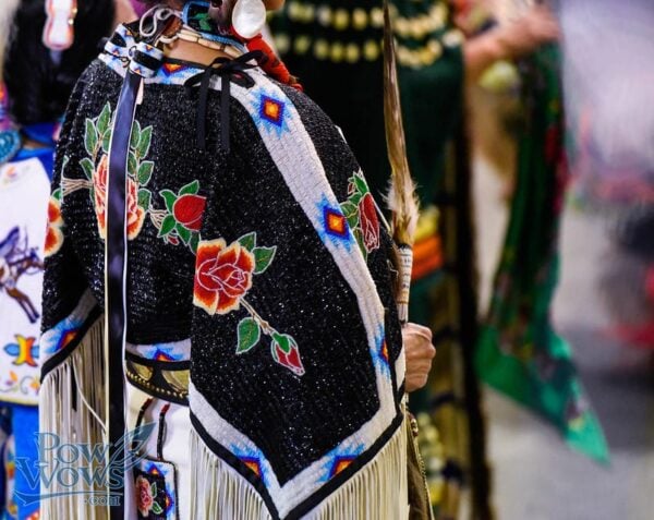 Native American issues and struggles