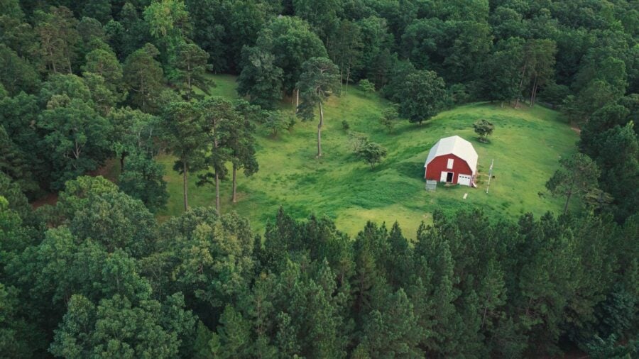 Alabama Biggest Tribe