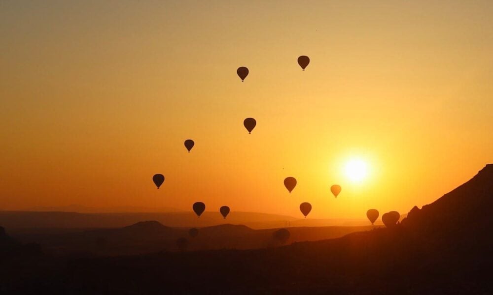 Balloons Don’t Fly Up Into Space or Get to Your Loved Ones in Heaven. They Come Back to Earth and Choke Wildlife. Don’t Release Them.