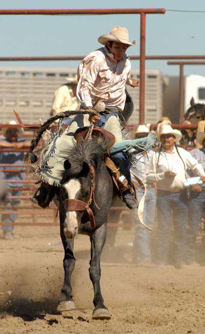 Photo via Montana Office of Tourism