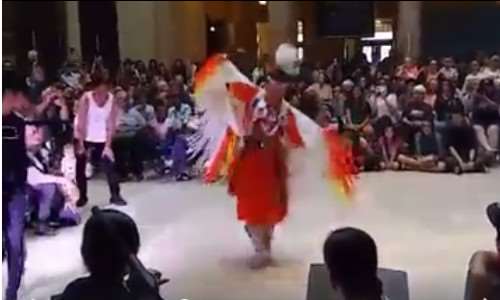bringing indigenous flair to