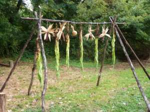 Drying Rack