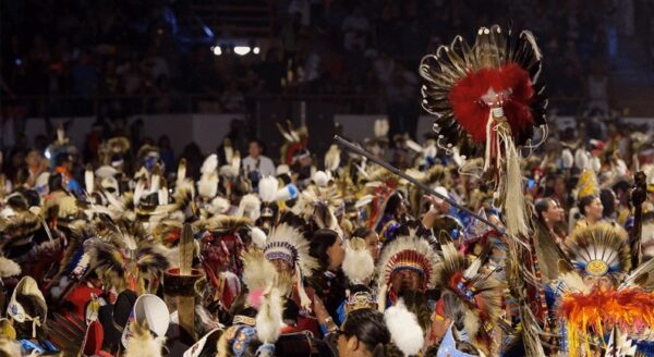 How much Native American am I?