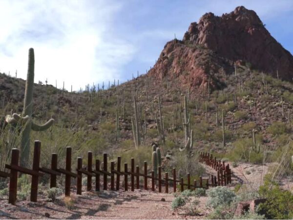 Tohono O’odham Nation Releases Video – ‘There’s No O’odham Word for Wall’ Tohono O’odham Nation Releases Video – ‘There’s No O’odham Word for Wall’
