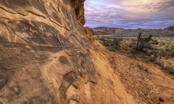 Obama Designates Gold Butte and Bear Ears as National Monuments