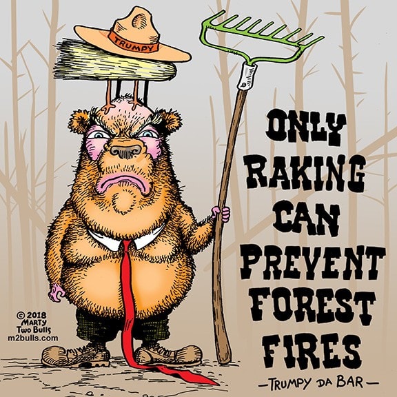 Only Raking Can Prevent Forest Fires – Marty Two Bulls
